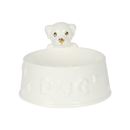 Newest Ceramic Pet Bowl for Eating and Drinking